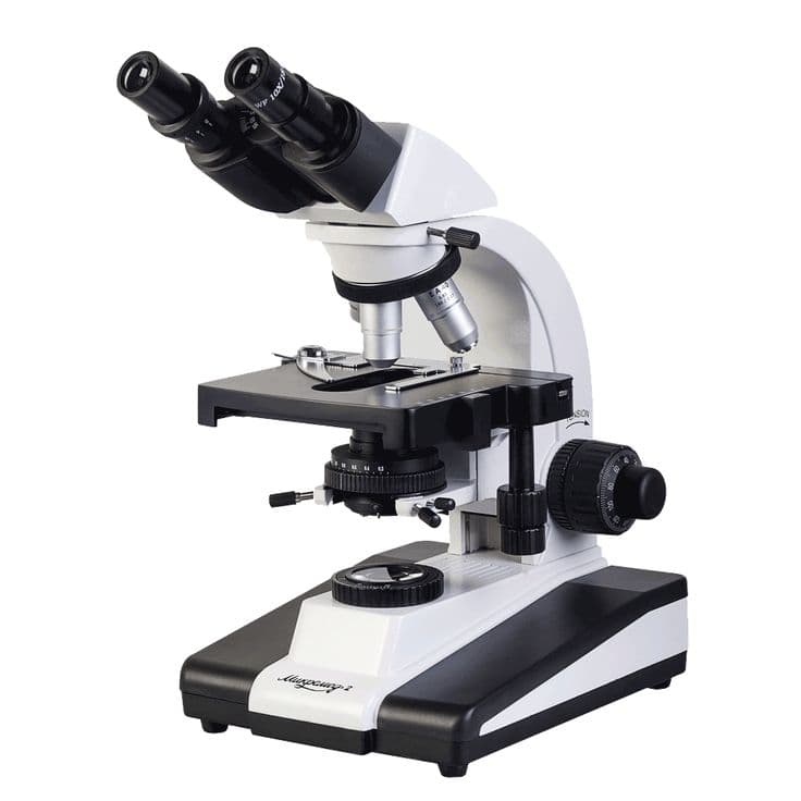 Endomicroscope used during root canal treatment